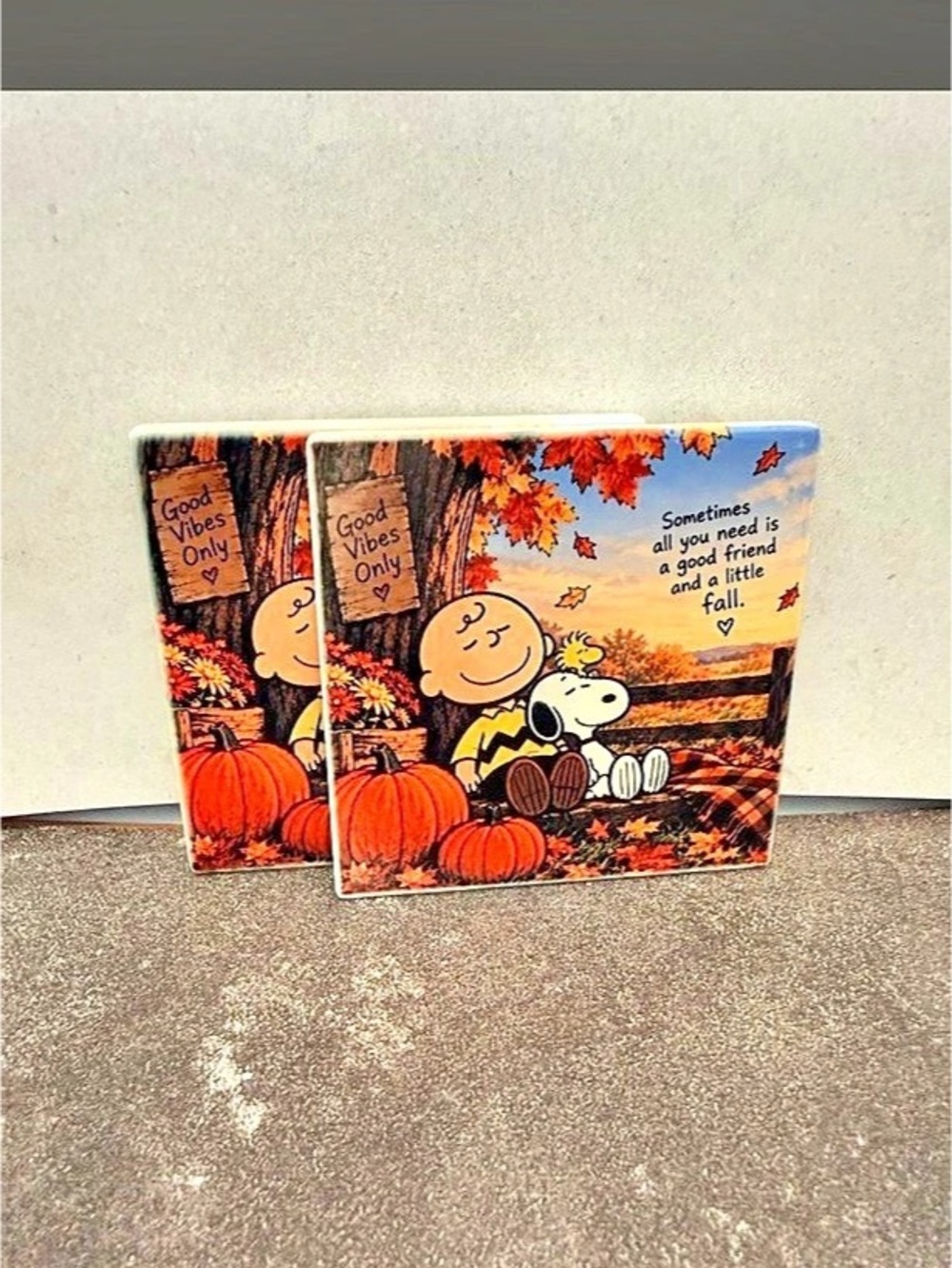 Snoopy and Charlie Brown Ceramic Coasters set